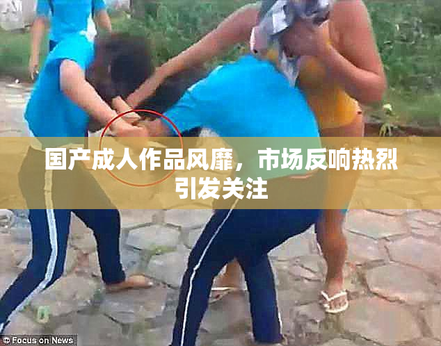 国产成人作品风靡，市场反响热烈引发关注
