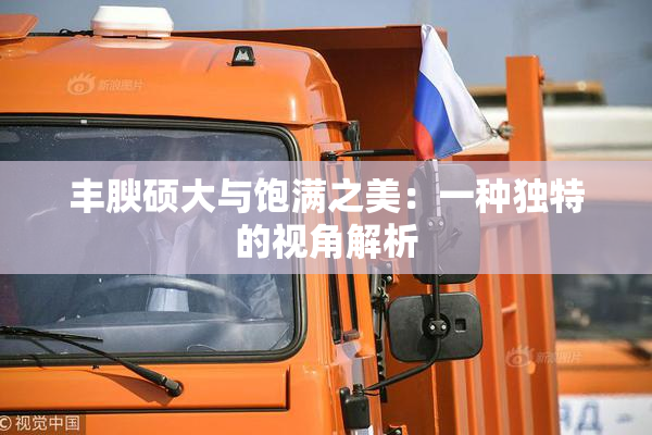 丰腴硕大与饱满之美：一种独特的视角解析