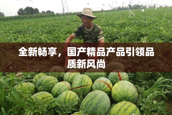 全新畅享，国产精品产品引领品质新风尚