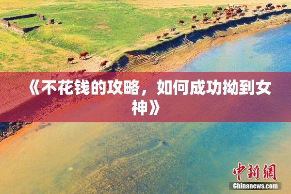 《不花钱的攻略，如何成功拗到女神》
