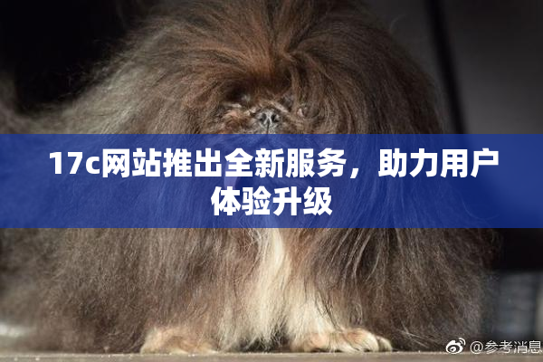 17c网站推出全新服务，助力用户体验升级