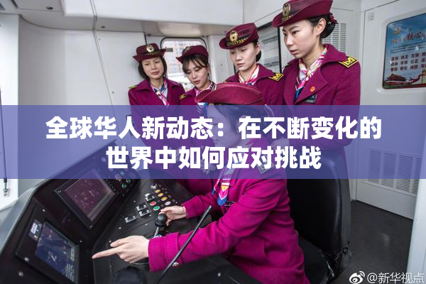 全球华人新动态：在不断变化的世界中如何应对挑战