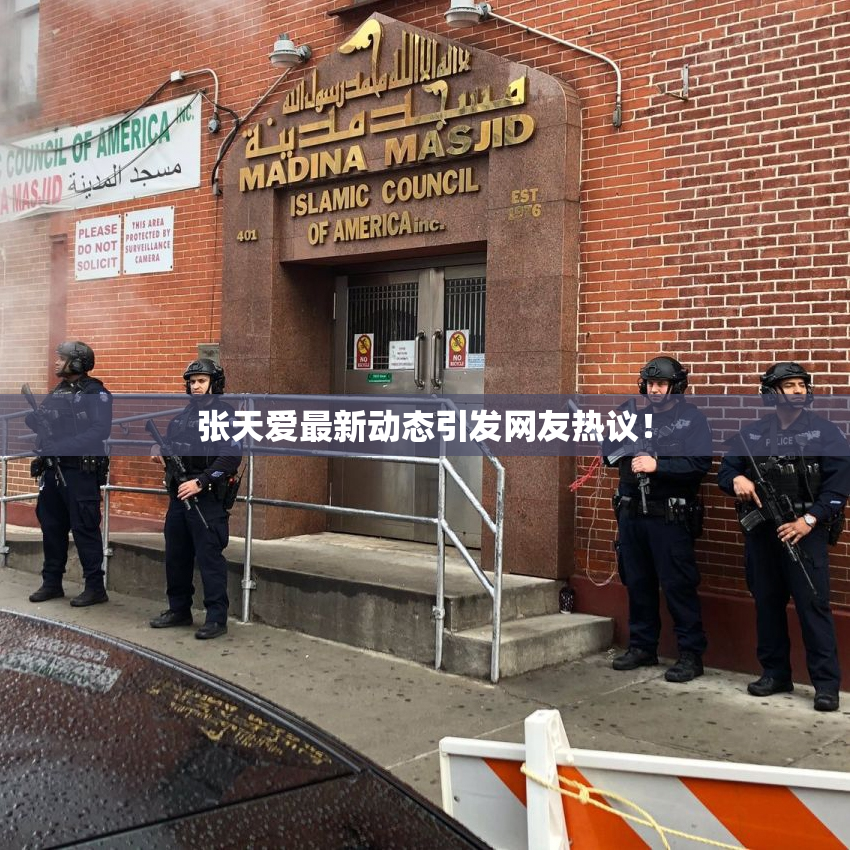 张天爱最新动态引发网友热议！