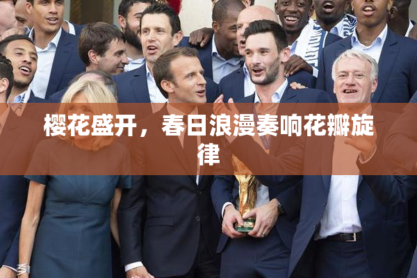 樱花盛开，春日浪漫奏响花瓣旋律