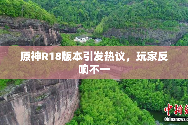 原神R18版本引发热议，玩家反响不一