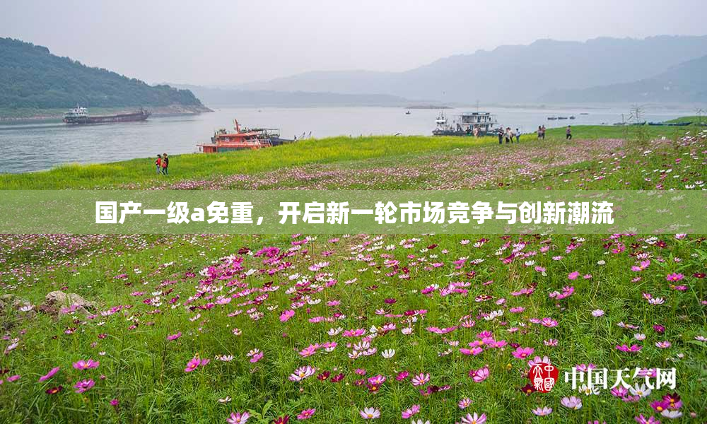 国产一级a免重，开启新一轮市场竞争与创新潮流
