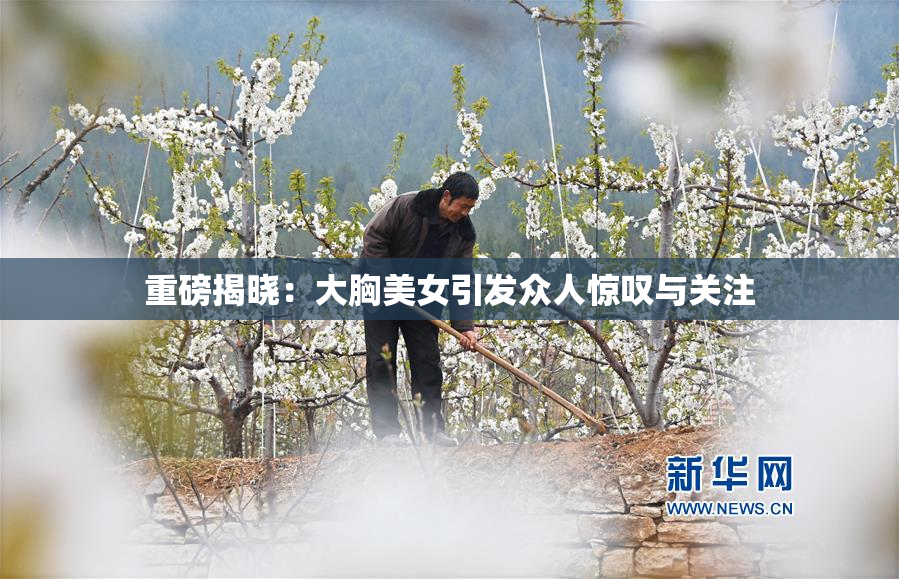 重磅揭晓：大胸美女引发众人惊叹与关注