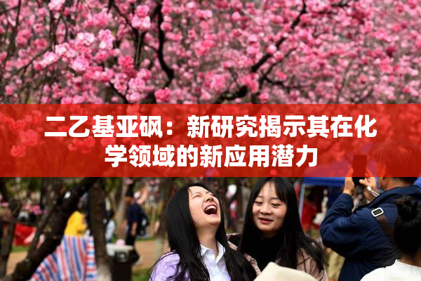 二乙基亚砜：新研究揭示其在化学领域的新应用潜力