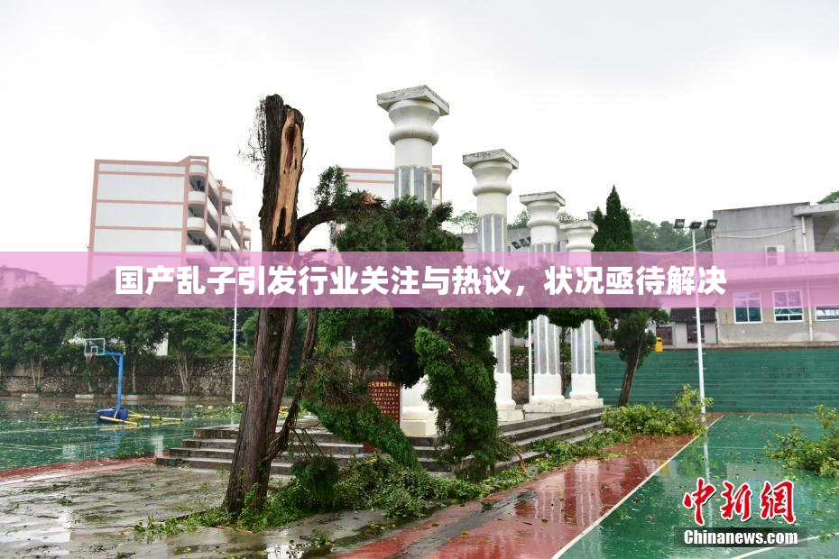 国产乱子引发行业关注与热议，状况亟待解决