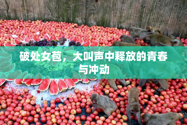 破处女苞，大叫声中释放的青春与冲动