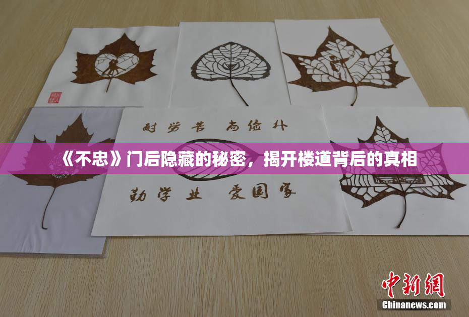 《不忠》门后隐藏的秘密，揭开楼道背后的真相