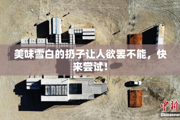 美味雪白的扔子让人欲罢不能，快来尝试！