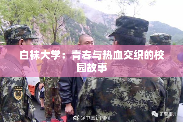 白袜大学：青春与热血交织的校园故事