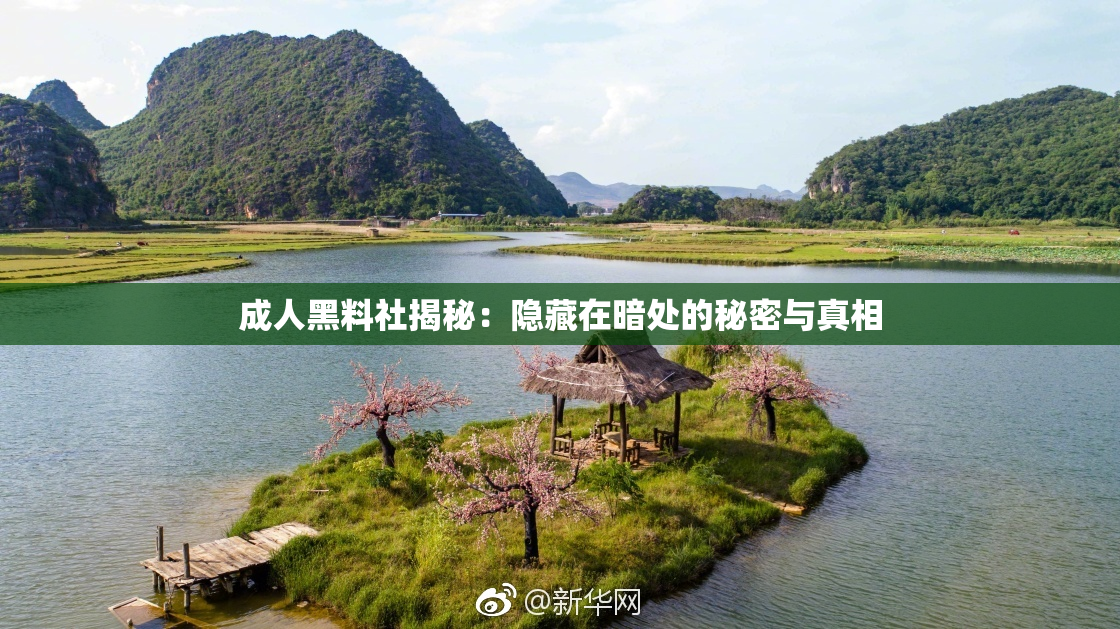 成人黑料社揭秘：隐藏在暗处的秘密与真相