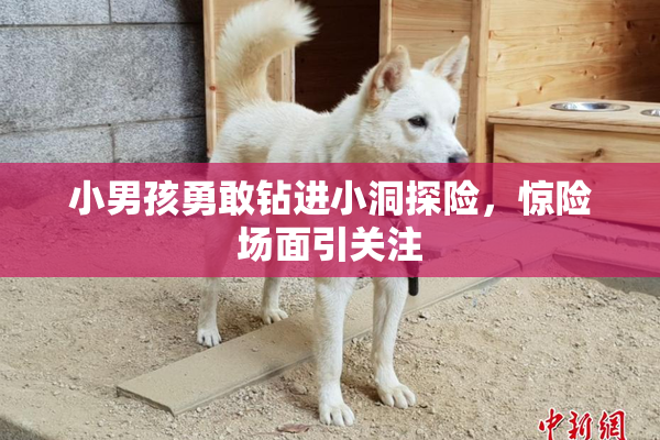 小男孩勇敢钻进小洞探险，惊险场面引关注