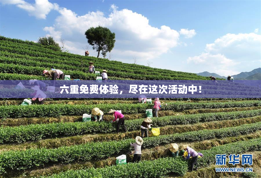 六重免费体验，尽在这次活动中！