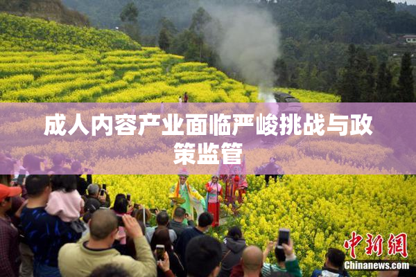 成人内容产业面临严峻挑战与政策监管