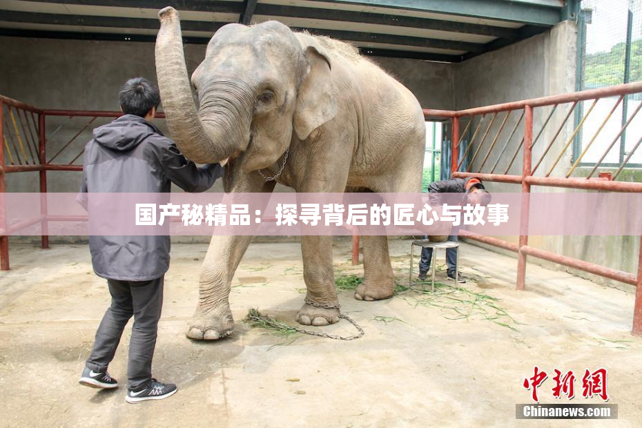 国产秘精品：探寻背后的匠心与故事