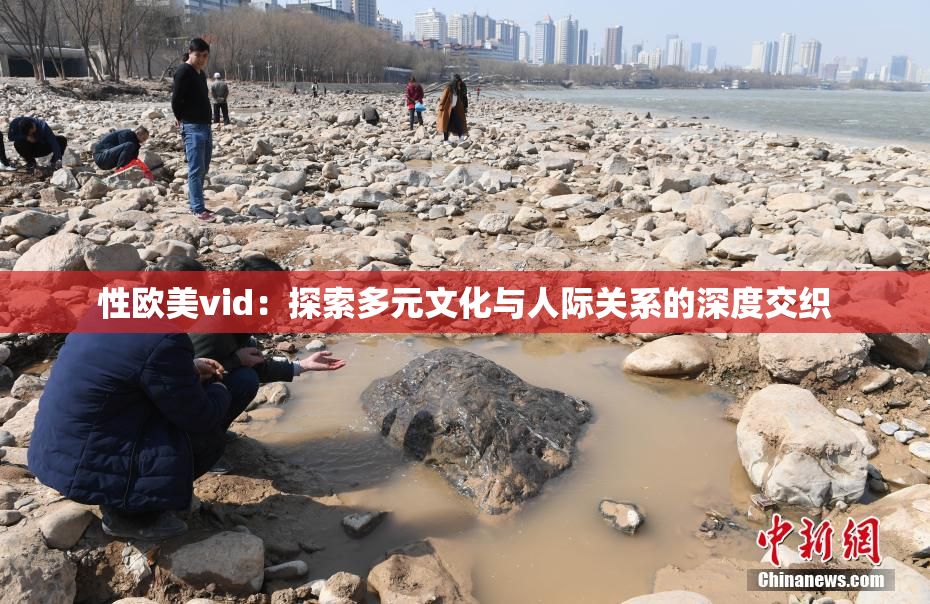 性欧美vid：探索多元文化与人际关系的深度交织