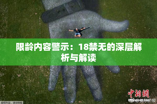 限龄内容警示：18禁无的深层解析与解读