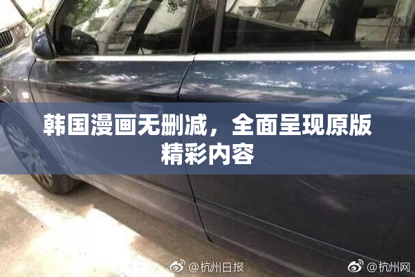 韩国漫画无删减，全面呈现原版精彩内容