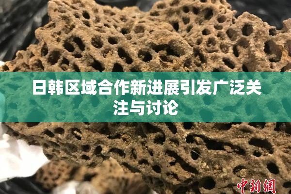 日韩区域合作新进展引发广泛关注与讨论
