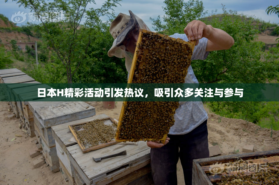 日本H精彩活动引发热议，吸引众多关注与参与
