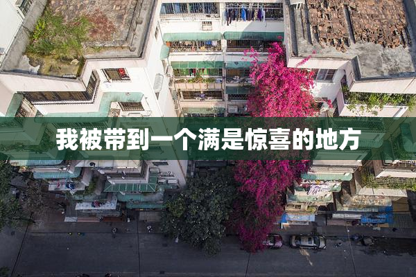 我被带到一个满是惊喜的地方