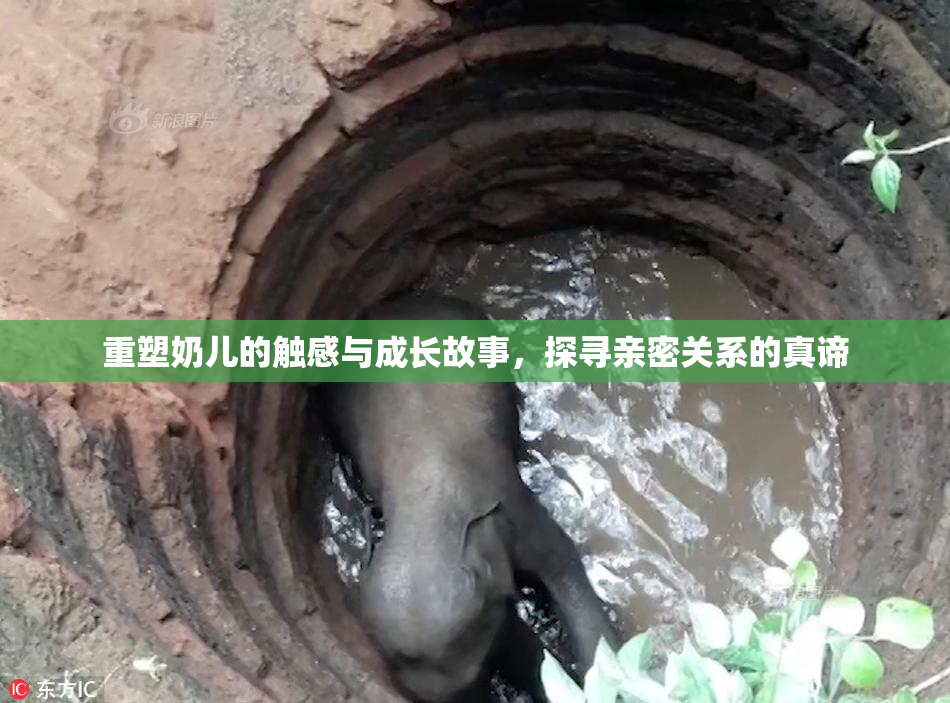 重塑奶儿的触感与成长故事，探寻亲密关系的真谛