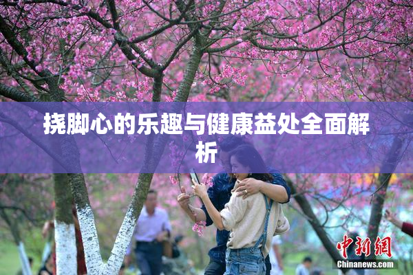挠脚心的乐趣与健康益处全面解析