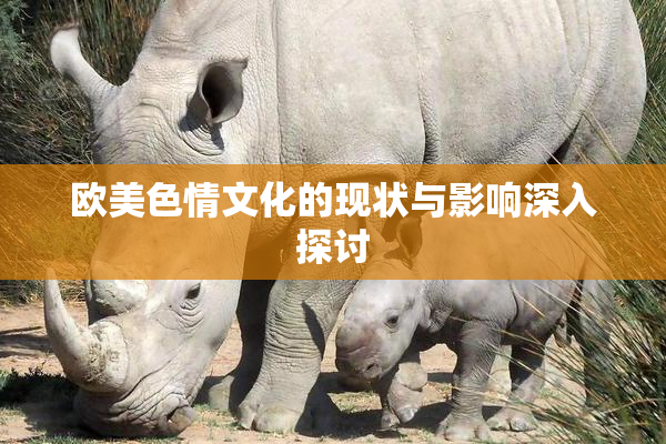 欧美色情文化的现状与影响深入探讨