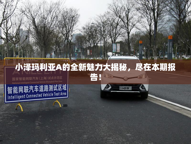 小泽玛利亚A的全新魅力大揭秘，尽在本期报告！