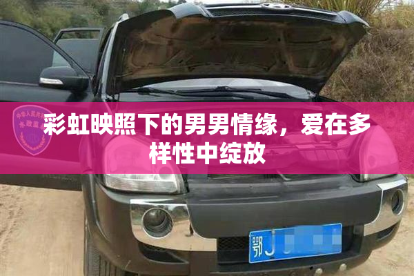 彩虹映照下的男男情缘，爱在多样性中绽放