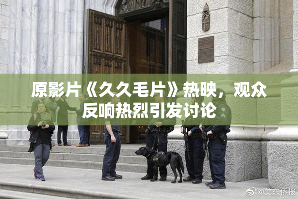 原影片《久久毛片》热映，观众反响热烈引发讨论