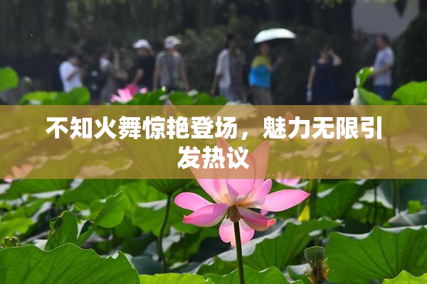 不知火舞惊艳登场，魅力无限引发热议