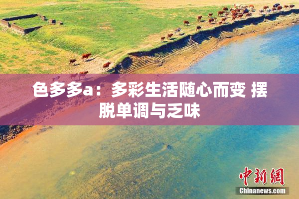 色多多a：多彩生活随心而变 摆脱单调与乏味