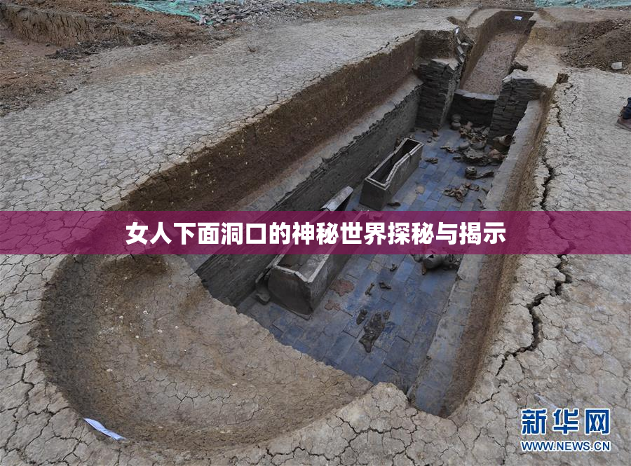 女人下面洞口的神秘世界探秘与揭示