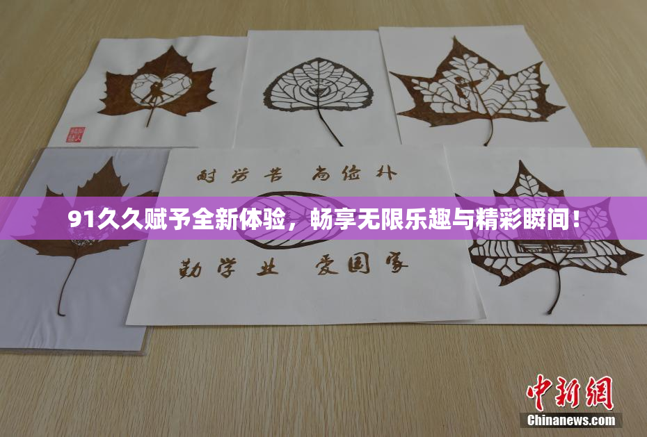 91久久赋予全新体验，畅享无限乐趣与精彩瞬间！
