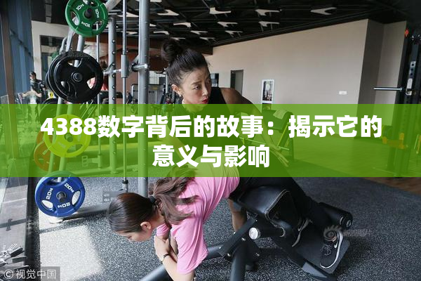 4388数字背后的故事：揭示它的意义与影响
