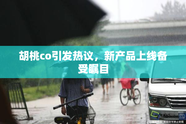 胡桃co引发热议，新产品上线备受瞩目