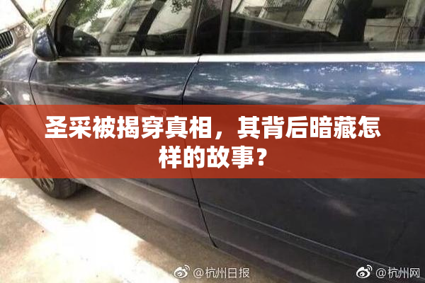 圣采被揭穿真相，其背后暗藏怎样的故事？