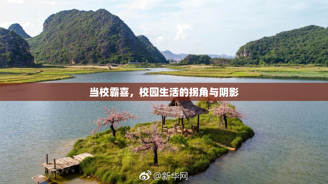 当校霸喜，校园生活的拐角与阴影