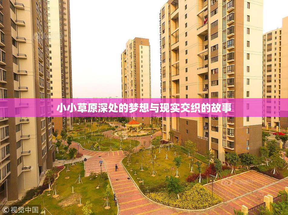 小小草原深处的梦想与现实交织的故事