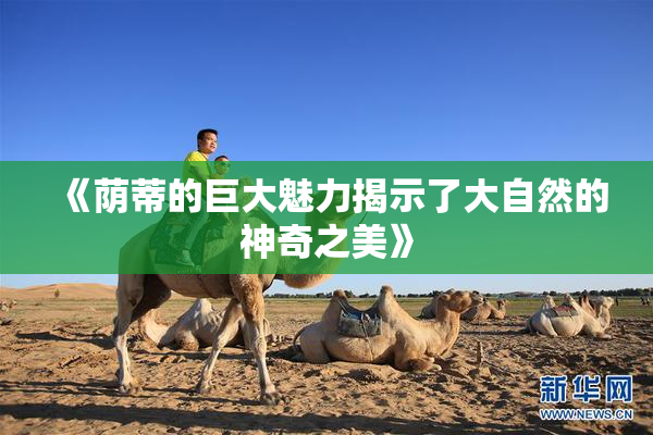 《荫蒂的巨大魅力揭示了大自然的神奇之美》