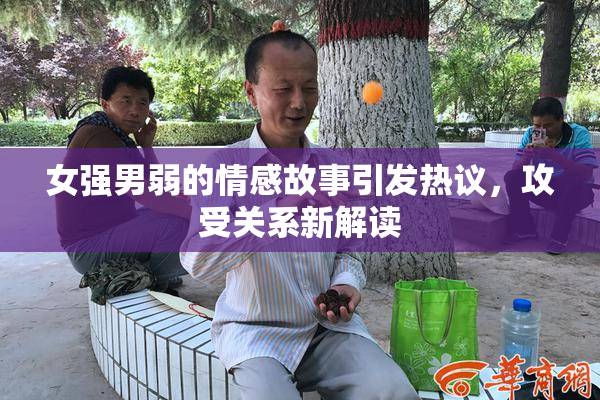 女强男弱的情感故事引发热议，攻受关系新解读