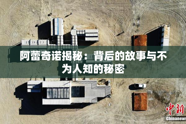 阿蕾奇诺揭秘：背后的故事与不为人知的秘密