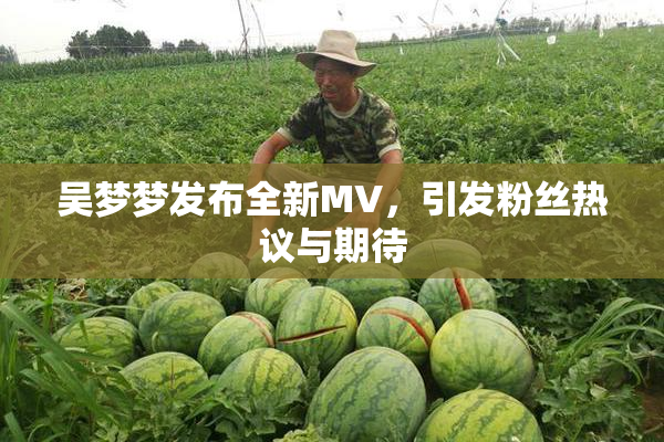 吴梦梦发布全新MV，引发粉丝热议与期待