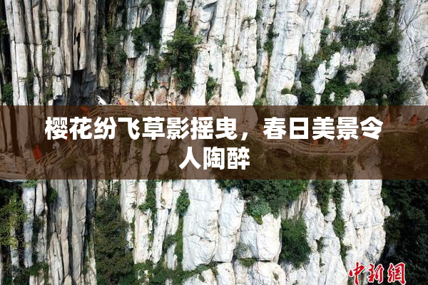 樱花纷飞草影摇曳，春日美景令人陶醉
