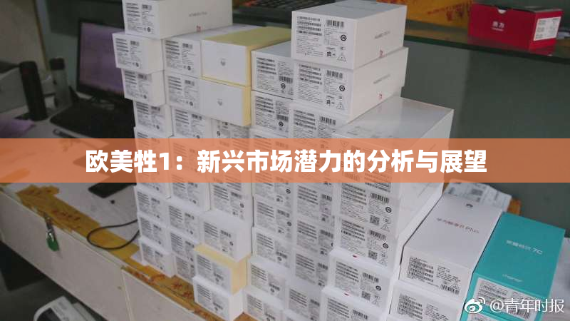 欧美牲1：新兴市场潜力的分析与展望