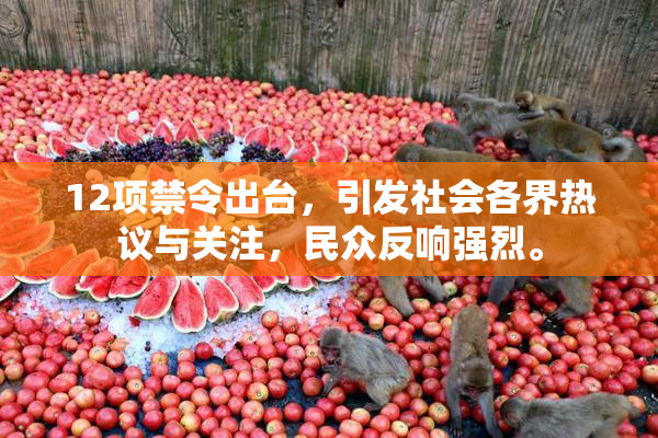 12项禁令出台，引发社会各界热议与关注，民众反响强烈。